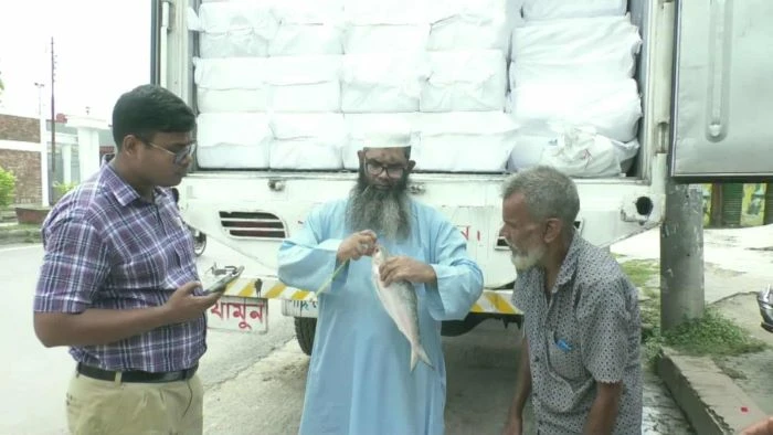ভারতে কম দামে ইলিশ রফতানি, বৈদেশিক আয় কমবে ১২০ কোটি টাকা!